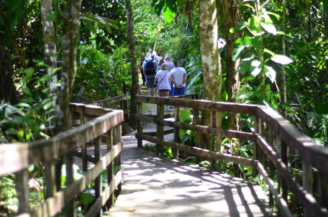 Veragua Rainforest Puerto Limon Exterior foto